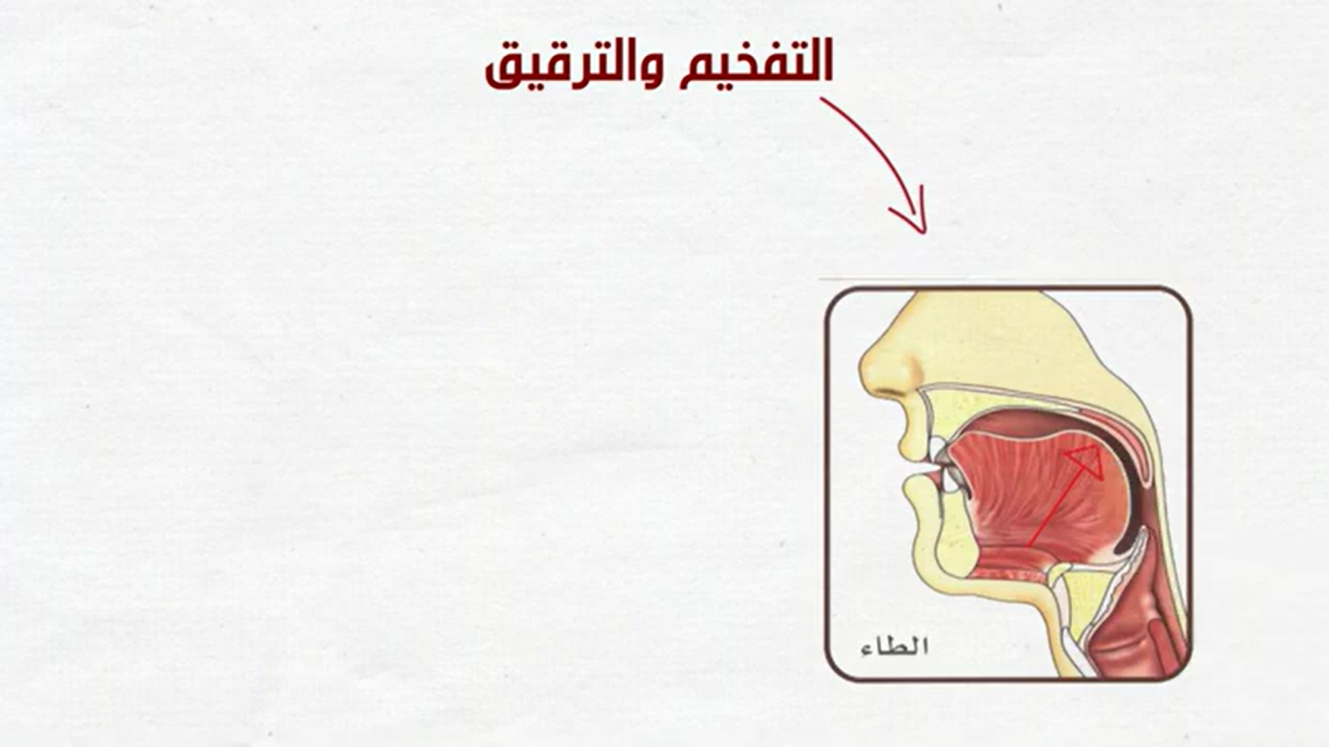 13 - التفخيم والترقيق 1